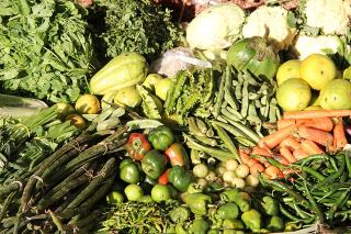 Produits legumes bio biologique 

locaux
