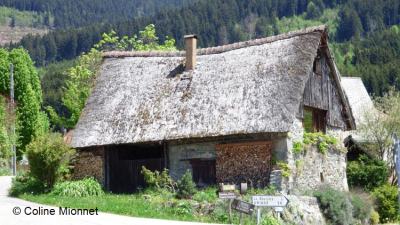 Grange chalet construction traditionnelle montagne Alpes