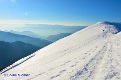 Montagne Alpes Alps Belledonne Chartreuse Bauges Collet Allevard Isère France sommets enneigés ski