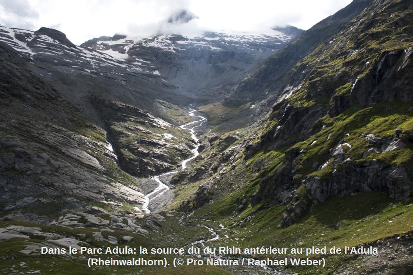 Aux sources du Rhin Rheinwaldhorn