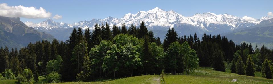 environnement montagne haute Savoie massif forêt