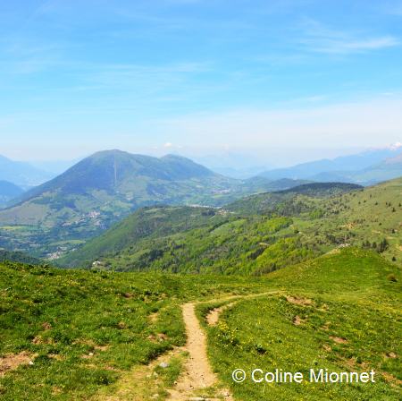 Randonnée du Sénépi