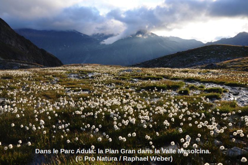 Parc-Adula_Pian-grand_Raphael_Weber